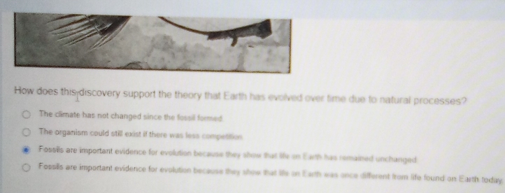 How does this discovery support the theory that Earth has evolved over time due to natural processes?
The climate has not changed since the fossil formed
The organism could still exist if there was less compettion
Fossils are important evidence for evolution because they show that life on Earth has remained unchanged
Fossils are important evidence for evolution because they show that life on Earth was once different from life found on Earth today.