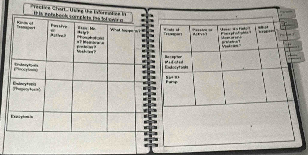 Practice Chart.. Using