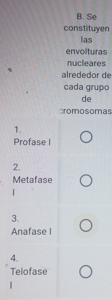 Se 
constituyen 
las 
envolturas 
nucleares 
alrededor de 
cada grupo 
de 
cromosomas 
1. 
Profase I 
2. 
Metafase 
3. 
Anafase I 
4. 
Telofase