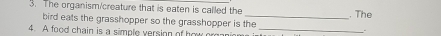 The organism/creature that is eaten is called the_ . The 
bird eats the grasshopper so the grasshopper is the . 
4. A food chain is a simple version of how organion_