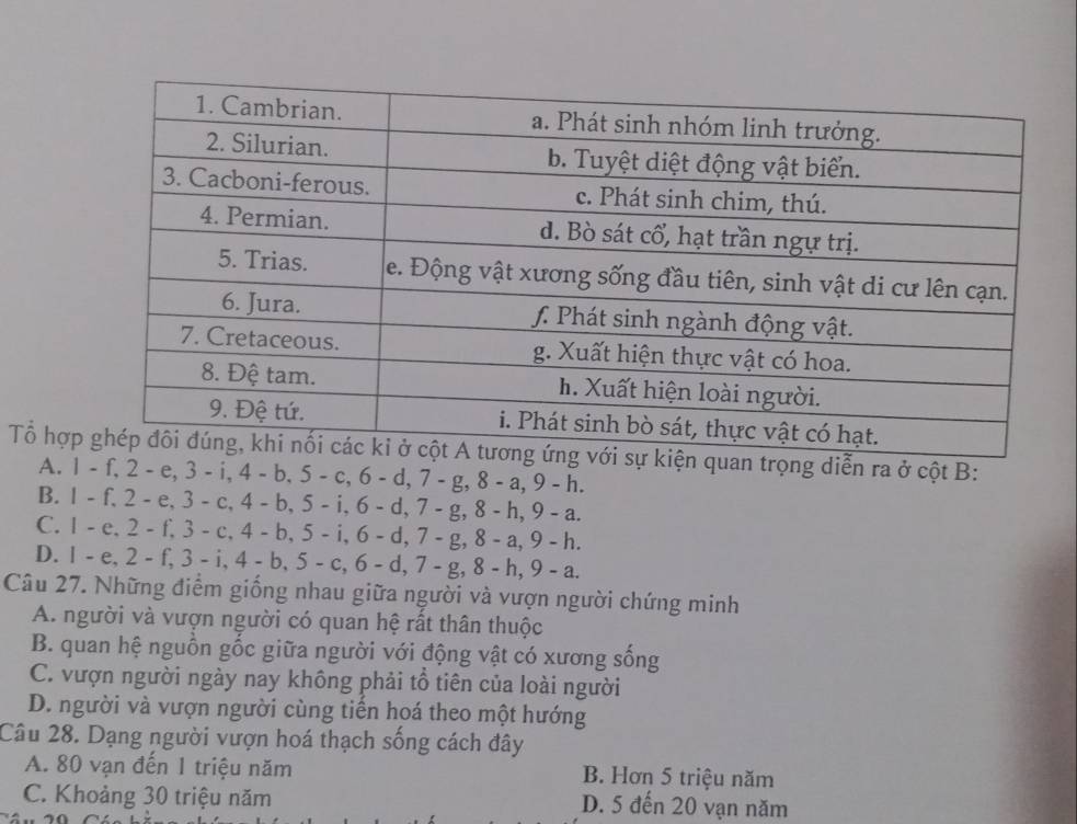 Tổ hợpquan trọng diễn ra ở cột B :
A. 1 - f, 2 - e, 3 - i, 4 - b, 5 - c, 6 - d, 7 - g, 8 - a, 9 - h.
B. 1 - f, 2 - e, 3 - c, 4 - b, 5 - i, 6 - d, 7 - g, 8 - h, 9 - a.
C. 1 - e, 2 - f, 3 - c, 4 - b, 5 - i, 6 - d, 7 - g, 8 - a, 9 - h.
D. 1 - e, 2 - f, 3 - i, 4 - b, 5 - c, 6 - d, 7 - g, 8 - h, 9 - a.
Câu 27. Những điểm giống nhau giữa người và vượn người chứng minh
A. người và vượn người có quan hệ rất thân thuộc
B. quan hệ nguồn gốc giữa người với động vật có xương sống
C. vượn người ngày nay không phải tổ tiên của loài người
D. người và vượn người cùng tiến hoá theo một hướng
Câu 28. Dạng người vượn hoá thạch sống cách đây
A. 80 vạn đến 1 triệu năm B. Hơn 5 triệu năm
C. Khoảng 30 triệu năm D. 5 đến 20 vạn năm