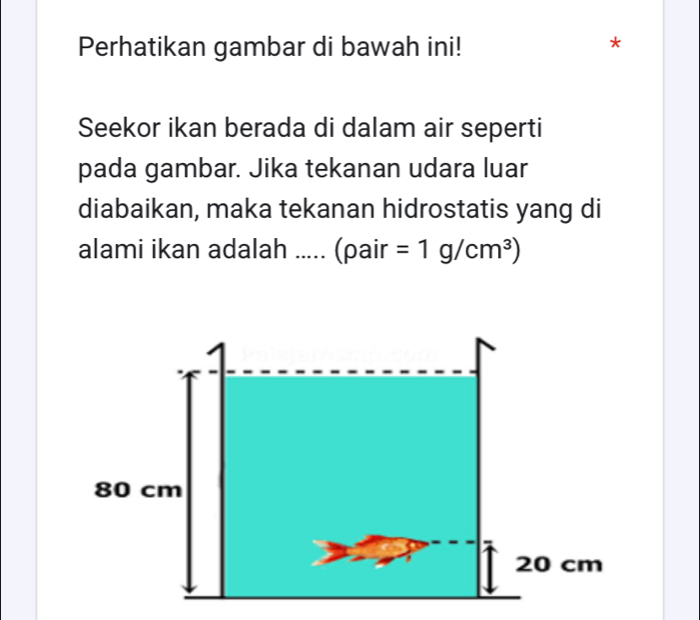 Perhatikan gambar di bawah ini! 
* 
Seekor ikan berada di dalam air seperti 
pada gambar. Jika tekanan udara luar 
diabaikan, maka tekanan hidrostatis yang di 
alami ikan adalah ..... (pair =1g/cm^3)