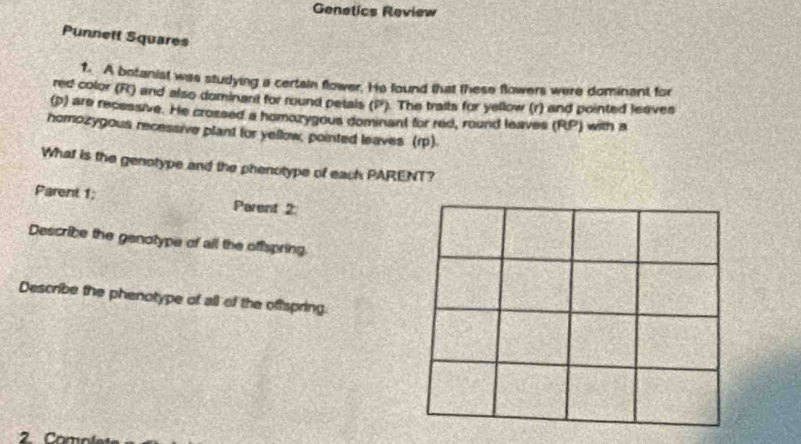 Genetics Review 
Punnett Squares 
1. A botanist was studying a certain flower. He found that these flowers were dominant for 
red color (R) and also dominant for round petals (P). The traits for yellow (r) and pointed leaves 
(p) are recessive. He crossed a homozygous dominant for red, round leaves (RP) with a 
homozygous recessive plant for yellow, pointed leaves (r). 
What is the genotype and the phenotype of each PARENT? 
Parent 1; Parent 2. 
Describe the genotype of all the offspring. 
Describe the phenotype of all of the offspring. 
2 o ole