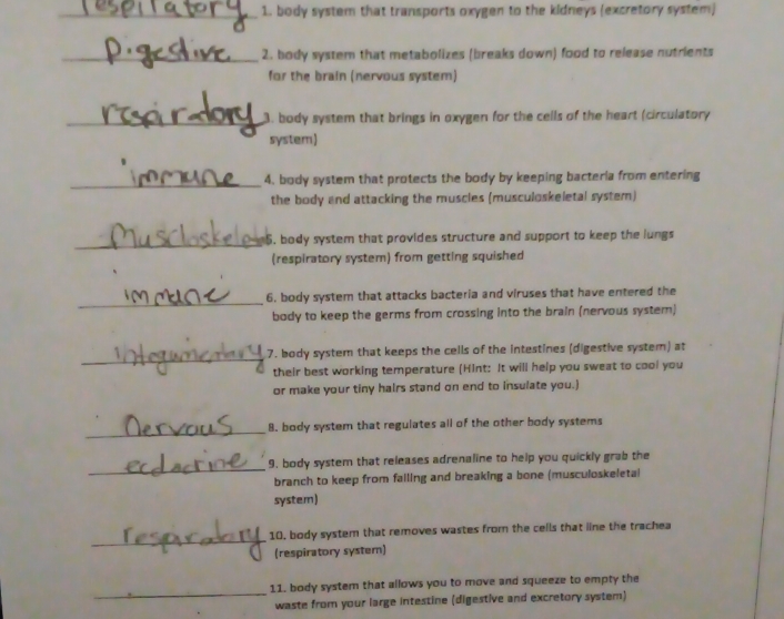 body system that transports oxygen to the kidneys (excretory system) 
_ 
_2. body system that metabolizes (breaks down) food to release nutrients 
for the brain (nervous system) 
_ 
3. body system that brings in oxygen for the cells of the heart (circulatory 
system) 
_ 
_4. body system that protects the body by keeping bacterla from entering 
the body and attacking the muscles (musculoskeletal system) 
_ 
5. body system that provides structure and support to keep the lungs 
(respiratory system) from getting squished 
_ 
6, body system that attacks bacteria and viruses that have entered the 
body to keep the germs from crossing into the brain (nervous system) 
_ 
7. body system that keeps the cells of the intestines (digestive system) at 
their best working temperature (Hint: It will help you sweat to cool you 
or make your tiny hairs stand on end to insulate you.) 
_ 
8. body system that regulates all of the other body systems 
_ 
9, body system that releases adrenaline to help you quickly grab the 
branch to keep from failing and breaking a bone (musculoskeletal 
system) 
_ 
10, body system that removes wastes from the cells that line the trachea 
(respiratory system) 
_ 
11. body system that allows you to move and squeeze to empty the 
waste from your large intestine (digestive and excretory system)