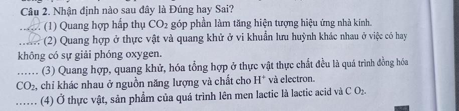 Nhận định nào sau đây là Đúng hay Sai? 
_ (1) Quang hợp hấp thụ CO_2 góp phần làm tăng hiện tượng hiệu ứng nhà kính. 
_(2) Quang hợp ở thực vật và quang khử ở vi khuẩn lưu huỳnh khác nhau ở việc có hay 
không có sự giải phóng oxygen. 
_(3) Quang hợp, quang khử, hóa tổng hợp ở thực vật thực chất đều là quá trình đồng hóa
CO_2 , chỉ khác nhau ở nguồn năng lượng và chất cho H^+ và electron. 
_(4) Ở thực vật, sản phẩm của quá trình lên men lactic là lactic acid và CO_2.