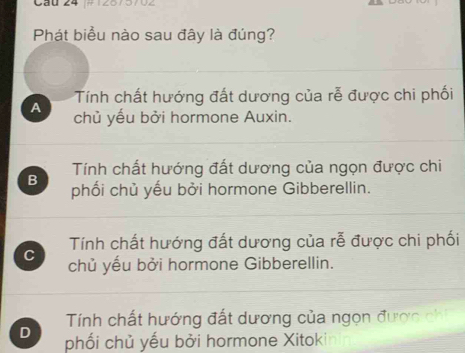 Cầu 24 |# 126/5702
Phát biểu nào sau đây là đúng?
Tính chất hướng đất dương của rễ được chi phối
A chủ yếu bởi hormone Auxin.
Tính chất hướng đất dương của ngọn được chi
B phối chủ yếu bởi hormone Gibberellin.
Tính chất hướng đất dương của rễ được chi phối
C chủ yếu bởi hormone Gibberellin.
Tính chất hướng đất dương của ngọn được chi
D phối chủ yếu bởi hormone Xitokinin