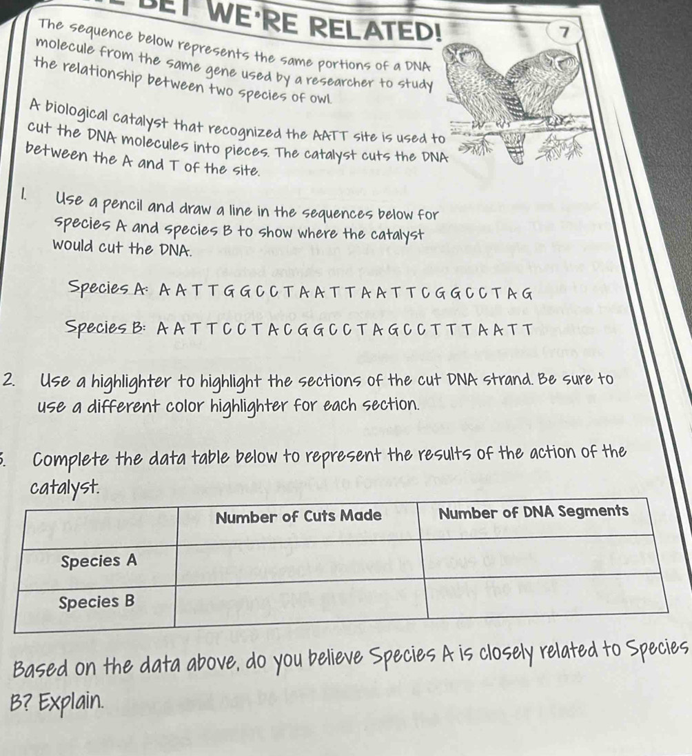 Solved: BET WE'RE RELATED! 7 The sequence below represents the same  portions of a DNA molecule [Biology], image size:1004x1096