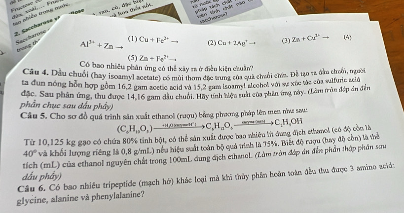 từ nước 
dứa, xoài,... Fruc
tan nhiều trong nước -Itose
pháp tách chát
, rau, củ, đặc biệ nat
trên tính chất nào
à hoa thốt nốt
2. Saccharose v
saccharose?
Saccharose
trong th
Al^(3+)+Zn (1) Cu+Fe^(2+)to (2) Cu+2Ag^+to (3) Zn+Cu^(2+) (4)
(5) Zn+Fe^(2+)to
Có bao nhiêu phản ứng có thể xảy ra ở điều kiện chuẩn?
Câu 4. Dầu chuối (hay isoamyl acetate) có mùi thơm đặc trưng của quả chuối chín. Để tạo ra dầu chuối, người
ta đun nóng hỗn hợp gồm 16,2 gam acetic acid và 15,2 gam isoamyl alcohol với sự xúc tác của sulfuric acid
đặc. Sau phản ứng, thu được 14,16 gam dầu chuối. Hãy tính hiệu suất của phản ứng này. (Làm tròn đáp án đến
phần chục sau dấu phẩy)
Câu 5. Cho sơ đồ quá trình sản xuất ethanol (rượu) bằng phương pháp lên men như sau:
(C_6H_10O_5)xrightarrow +H_2O(eneta meW^+)C_6H_12O_6xrightarrow enr_2me(men)CC_2H_5OH
Từ 10,125 kg gạo có chứa 80% tinh bột, có thể sản xuất được bao nhiêu lít dung dịch ethanol (có độ cồn là
40° và khối lượng riêng là 0,8 g/mL) nếu hiệu suất toàn bộ quá trình là 75%. Biết độ rượu (hay độ cồn) là thể
tích (mL) của ethanol nguyên chất trong 100mL dung dịch ethanol. (Làm tròn đáp án đến phần thập phân sau
dấu phầy)
Câu 6. Có bao nhiêu tripeptide (mạch hở) khác loại mà khi thủy phân hoàn toàn đều thu được 3 amino acid:
glycine, alanine và phenylalanine?