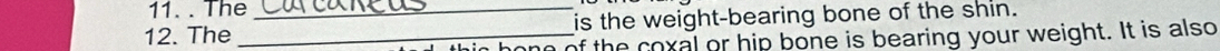 The_ 
12. The _is the weight-bearing bone of the shin. 
no of the coxal or hip bone is bearing your weight. It is also