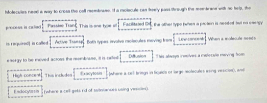 Molecules need a way to cross the cell membrane. If a molecule can freely pass through the membrane with no help, the
process is called Passive Tran$ This is one type of Facilitated Dis the other type (when a protein is needed but no energy
is required) is called Active Transp. Both types involve molecules moving from Low concentr. When a molecule needs
energy to be moved across the membrane, it is called Diffusion This always involves a molecule moving from
High concent This includes Exocytosis (where a cell brings in liquids or large molecules using vesicles), and
Endocytosis (where a cell gets rid of substances using vesicles).