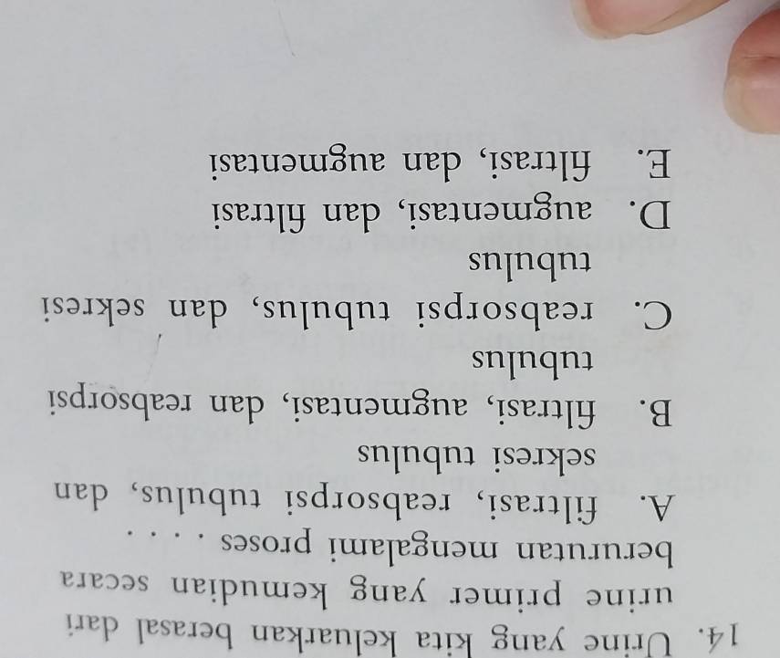 Urine yang kita keluarkan berasal dari
urine primer yang kemudian secara 
berurutan mengalami proses . . . .
A. filtrasi, reabsorpsi tubulus, dan
sekresi tubulus
B. filtrasi, augmentasi, dan reabsorpsi
tubulus
C. reabsorpsi tubulus, dan sekresi
tubulus
D. augmentasi, dan filtrasi
E. filtrasi, dan augmentasi