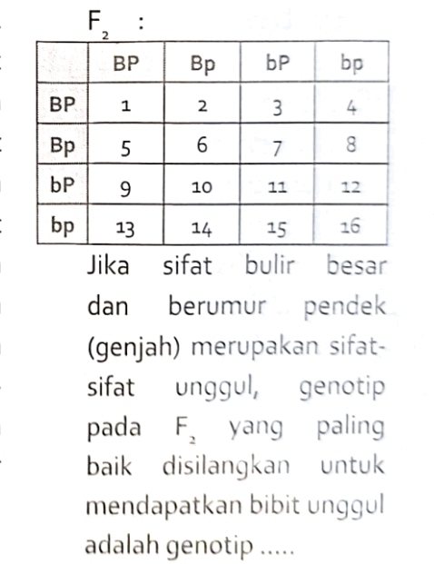 _ F_2 : 
Jika sifat bulir besar 
dan berumur pendek 
(genjah) merupakan sifat- 
sifat unggul, genotip 
pada F_2 yang paling 
baik disilangkan untuk 
mendapatkan bibit unggul 
adalah genotip .....