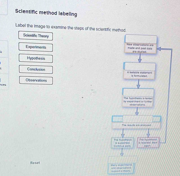 Solved: Scientific method labeling Label the image to examine the steps ...