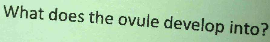 What does the ovule develop into?