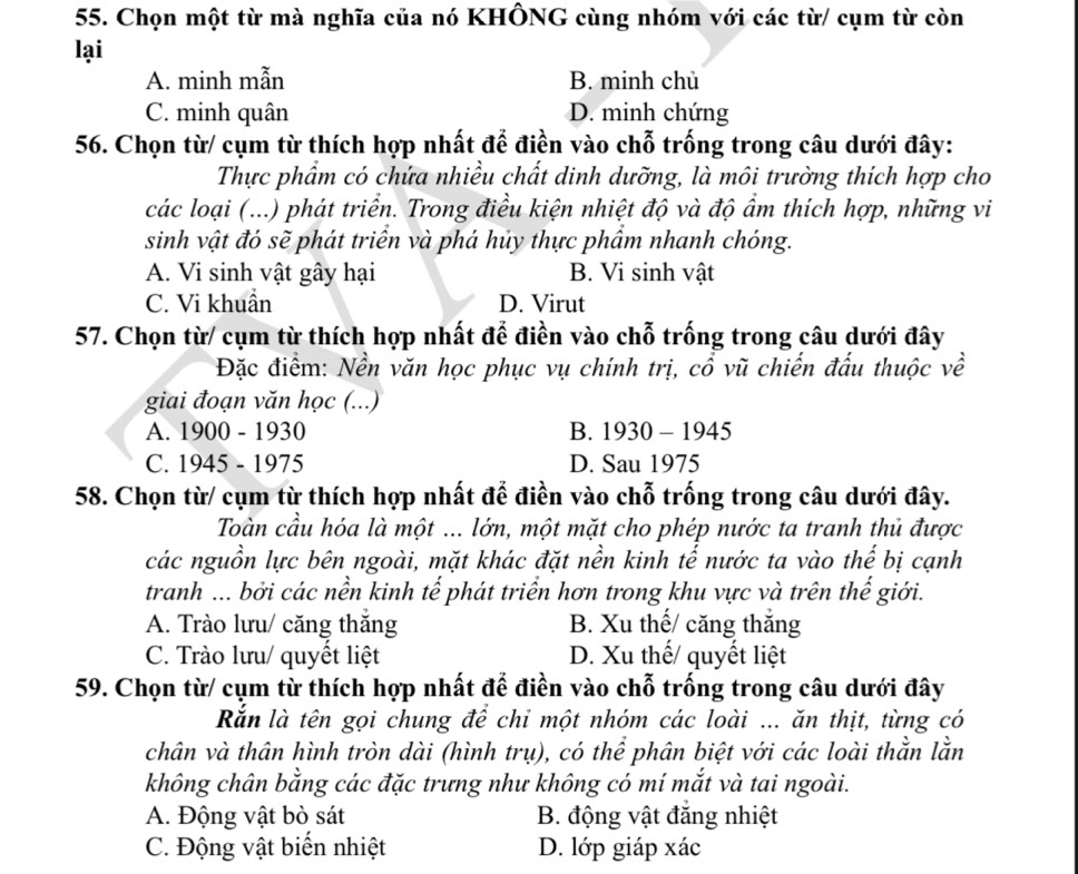 Chọn một từ mà nghĩa của nó KHÔNG cùng nhóm với các từ/ cụm từ còn
lại
A. minh mẫn B. minh chủ
C. minh quân D. minh chứng
56. Chọn từ/ cụm từ thích hợp nhất để điền vào chỗ trống trong câu dưới đây:
Thực phẩm có chứa nhiều chất dinh dưỡng, là môi trường thích hợp cho
các loại (...) phát triển. Trong điều kiện nhiệt độ và độ ẩm thích hợp, những vi
sinh vật đó sẽ phát triển và phá hủy thực phẩm nhanh chóng.
A. Vi sinh vật gây hại B. Vi sinh vật
C. Vi khuẩn D. Virut
57. Chọn từ/ cụm từ thích hợp nhất để điền vào chỗ trống trong câu dưới đây
Đặc điểm: Nền văn học phục vụ chính trị, cổ vũ chiến đấu thuộc về
giai đoạn văn học (...)
A. 1900 - 1930 B. 1 930-1945
C. 1945 - 1975 D. Sau 1975
58. Chọn từ/ cụm từ thích hợp nhất để điền vào chỗ trống trong câu dưới đây.
Toàn cầu hóa là một ... lớn, một mặt cho phép nước ta tranh thủ được
các nguồn lực bên ngoài, mặt khác đặt nền kinh tế nước ta vào thế bị cạnh
tranh ... bởi các nền kinh tế phát triển hơn trong khu vực và trên thế giới.
A. Trào lưu/ căng thắng B. Xu thế/ căng thắng
C. Trào lưu/ quyết liệt D. Xu thế/ quyết liệt
59. Chọn từ/ cụm từ thích hợp nhất để điền vào chỗ trống trong câu dưới đây
Rắn là tên gọi chung để chỉ một nhóm các loài ... ăn thịt, từng có
chân và thân hình tròn dài (hình trụ), có thể phân biệt với các loài thằn lằn
không chân bằng các đặc trưng như không có mí mắt và tai ngoài.
A. Động vật bò sát  B. động vật đăng nhiệt
C. Động vật biến nhiệt D. lớp giáp xác