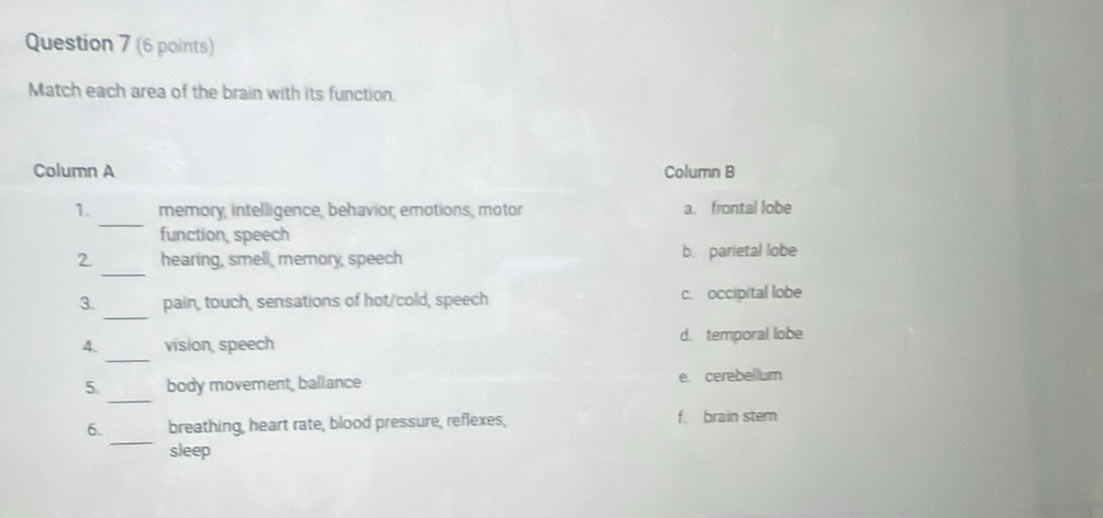 Match each area of the brain with its function.
Column A Column B
_
1. memory, intelligence, behavior; emotions, motor a. frontal lobe
function speech
_
2. hearing, smell, memory, speech b. parietal lobe
_
3. pain, touch, sensations of hot/cold, speech c. occipital lobe
_
4. vision, speech d. temporal lobe
_
5 body movement, ballance e cerebellum
_
6. breathing, heart rate, blood pressure, reflexes, f. brain stem
sleep