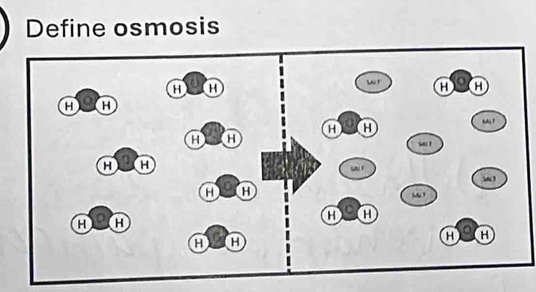 Define osmosis