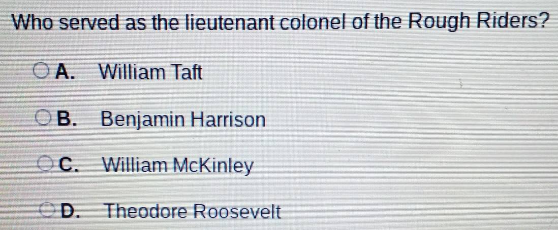 Who served as the lieutenant colonel of the Rough Riders?
A. William Taft
B. Benjamin Harrison
C. William McKinley
D. Theodore Roosevelt