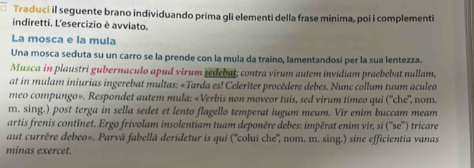 Traduci il seguente brano individuando prima gli elementi della frase minima, poi i complementi 
indiretti. L'esercizio è avviato. 
La mosca e la mula 
Una mosca seduta su un carro se la prende con la mula da traino, lamentandosi per la sua lentezza. 
Musca in plaustri gubernaculo apud virum sedebat; contra virum autem invidiam praebebat nullam, 
at in mulam iniurias ingerebat multas: «Tarda es! Celerĭter procědere debes. Nunc collum tuum aculeo 
meo compungo». Respondet autem mula: «Verbis non moveor tuis, sed virum timeo qui (“che”, nom. 
m. sing.) post terga in sella sedet et lento flagello temperat iugum meum. Vir enim buccam meam 
artis frenis contĭnet. Ergo frivolam insolentiam tuam deponěre debes: impěrat enim vir, si (''se”) tricare 
aut currěre debeo». Parvā fabellā deridetur is qui (“colui che', nom. m. sing.) sine efficientia vanas 
minas exercet.