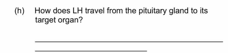 How does LH travel from the pituitary gland to its 
target organ? 
_ 
_