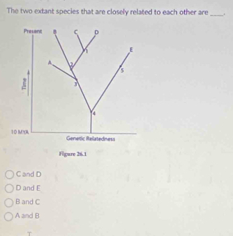 The two extant species that are closely related to each other are_ .
Present B C D
1 E
A. a
s
3
4
1O MYA Genetic Relatedness
Figure 26.1
C and D
D and E
B and C
A and B