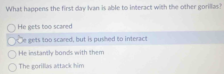 What happens the first day Ivan is able to interact with the other gorillas?
He gets too scared
le gets too scared, but is pushed to interact
He instantly bonds with them
The gorillas attack him