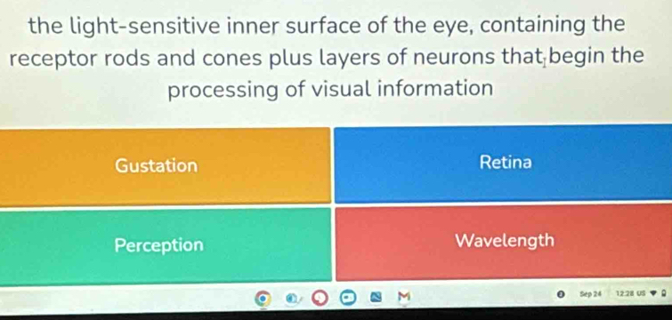 the light-sensitive inner surface of the eye, containing the
receptor rods and cones plus layers of neurons that begin the
processing of visual information
Gustation Retina
Perception Wavelength
Sep 24 12:28 US