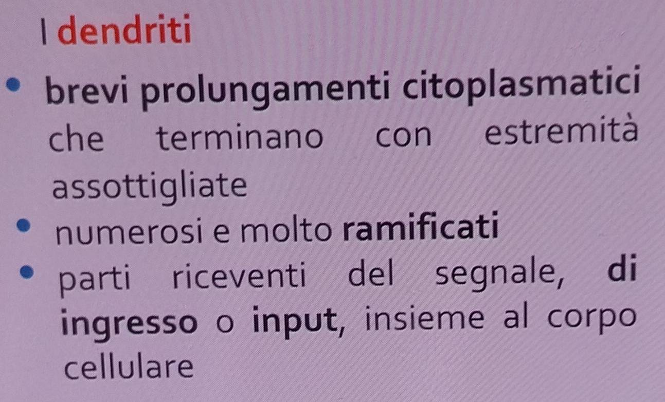 dendriti 
brevi prolungamenti citoplasmatici 
che terminano con estremità 
assottigliate 
numerosi e molto ramificati 
parti riceventi del segnale, di 
ingresso o input, insieme al corpo 
cellulare