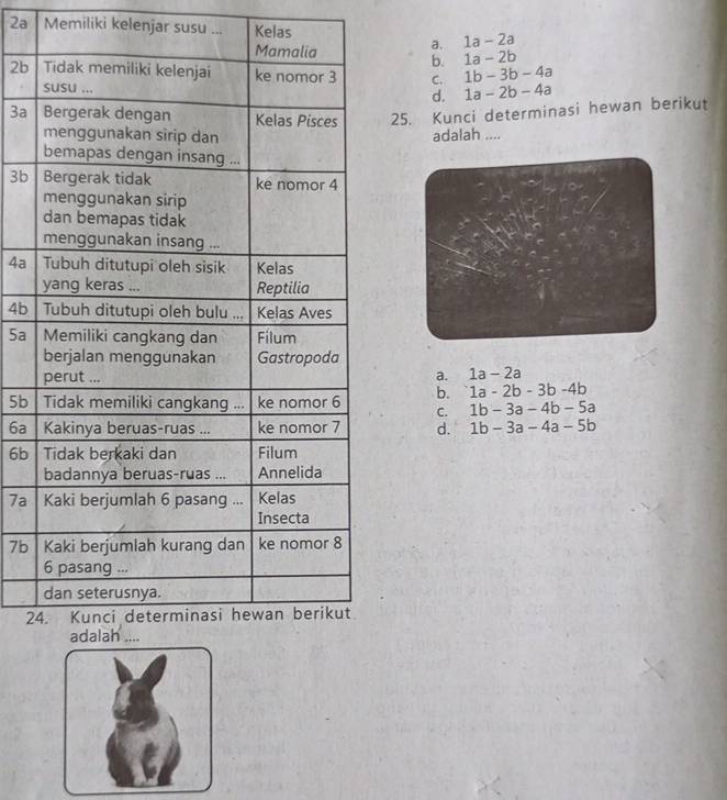 2a Memiliki kelenjar susu ... Kelas 1a-2a
a.
b. 1a-2b
2bC. 1b-3b-4a
d. 1a-2b-4a
3a25. Kunci determinasi hewan berikut
adalah ....
3b
4a
4b
5a
a. 1a-2a
5b b. 1a-2b-3b-4b
C. 1b-3a-4b-5a
6a d. 1b-3a-4a-5b
6b
7a
7b
2