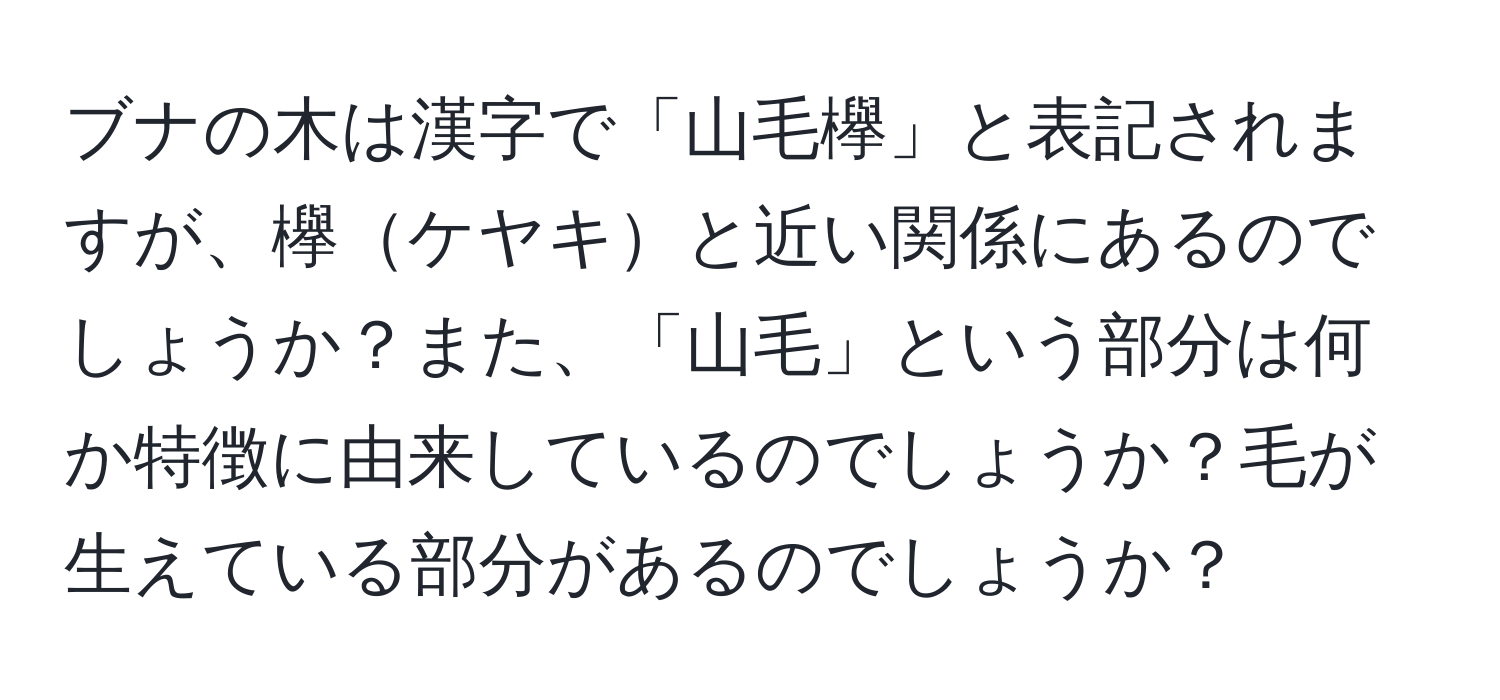 ブナの木は漢字で「山毛欅」と表記されますが、欅ケヤキと近い関係にあるのでしょうか？また、「山毛」という部分は何か特徴に由来しているのでしょうか？毛が生えている部分があるのでしょうか？