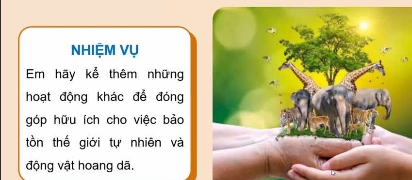 NHIỆM Vụ 
Em hãy kể thêm những 
hoạt động khác để đóng 
góp hữu ích cho việc bảo 
tồn thế giới tự nhiên và 
động vật hoang dã.