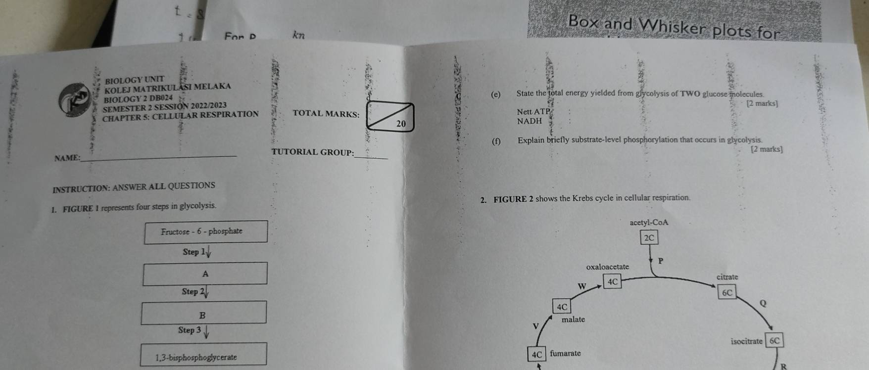 Box and Whisker plots for 
For P kn 
BIOLOGY UNIT 
KOLEJ MATRIKULASI MELAKA 
BIOLOGY 2 DB024 (e) State the total energy yielded from glycolysis of TWO glucose molecules. 
SEMESTER 2 SESSIÓN 2022/2023 
[2 marks] 
CHAPTER 5: CELLULAR RESPIRATION TOTAL MARKS: Nett ATP 
20 
NADH 
(f) Explain briefly substrate-level phosphorylation that occurs in glycolysis. 
TUTORIAL GROUP: [2 marks] 
NAME:_ 
_ 
INSTRUCTION: ANSWER ALL QUESTIONS 
1. FIGURE 1 represents four steps in glycolysis. 2. FIGURE 2 shows the Krebs cycle in cellular respiration. 
Fructose - 6 - phosphate 
Stej lsqrt() 
A 
Step 2
B 
Step 3
1,3-bisphosphoglycerate