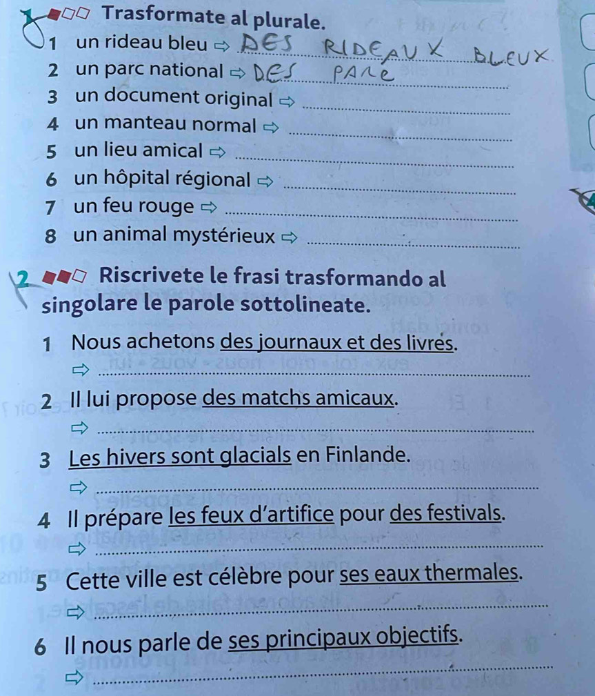 Trasformate al plurale. 
_ 
1 un rideau bleu 
_ 
2 un parc national 
_ 
3 un document original 
_ 
4 un manteau normal 
_ 
5 un lieu amical 
6 un hôpital régional_ 
7 un feu rouge_ 
8 un animal mystérieux_ 
2 Riscrivete le frasi trasformando al 
singolare le parole sottolineate. 
1 Nous achetons des journaux et des livrés. 
_ 
2 Il lui propose des matchs amicaux. 
_ 
3 Les hivers sont glacials en Finlande. 
_ 
4 Il prépare les feux d’artifice pour des festivals. 
_ 
5 Cette ville est célèbre pour ses eaux thermales. 
_ 
_ 
6 Il nous parle de ses principaux objectifs.