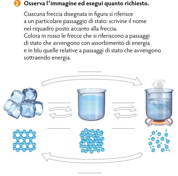 ⑳ Osserva l’immagine ed esegui quanto richiesto. 
Ciascuna freccia disegnata in figura si riferisce 
a un particolare passaggio di stato: scrivine il nome 
nel riquadro posto accanto alla freccia. 
Colora in rosso le frecce che si riferiscono a passaggi 
di stato che avvengono con assorbimento di energia 
e in blu quelle relative a passaggi di stato che avvengono 
sottraendo energia. 
_