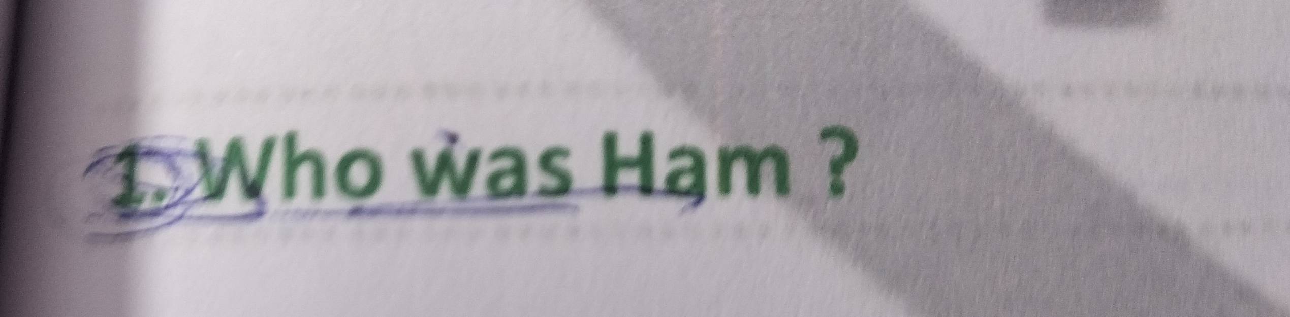 Who was Ham ?