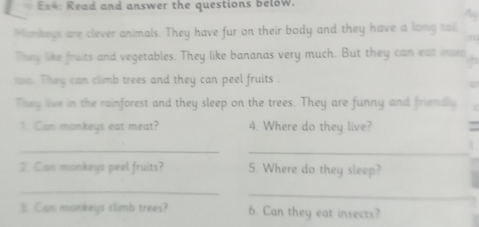 Er4: Read and answer the questions below. 
Ay 
Manbngs are clever animals. They have fur on their body and they have a long tail 
Thing like fruits and vegetables. They like bananas very much. But they can eat inned 
raxa. They can climb trees and they can peel fruits . 
Triny lve in the rainforest and they sleep on the trees. They are funny and friendly 
1 (Can monkeys eat meat? 4. Where do they live? 
_ 
_ 
2. Can monkeys peel fruits? 5. Where do they sleep? 
_ 
_ 
3. Can mankeys climb trees? 6. Can they eat insects?