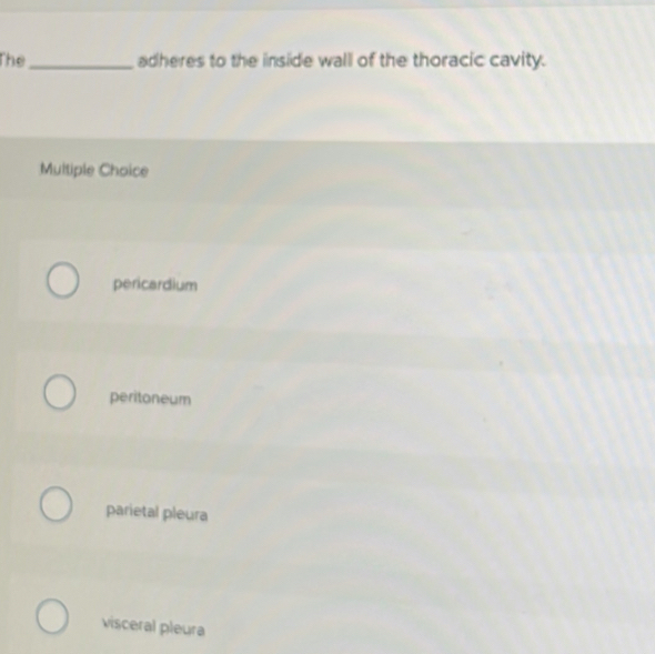 The _adheres to the inside wall of the thoracic cavity.
Multiple Choice
pericardium
peritoneum
parietal pleura
visceral pleura