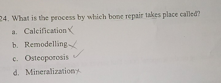 What is the process by which bone repair takes place called?
a. Calcification
b. Remodelling
c. Osteoporosis
d. Mineralization