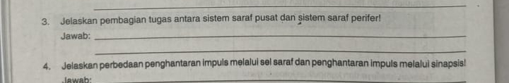 Jelaskan pembagian tugas antara sistem saraf pusat dan sistem saraf perifer! 
Jawab:_ 
_ 
4. Jelaskan perbedaan penghantaran impuls melalui sel saraf dan penghantaran impuls melalui sinapsis! 
Jawab: 
_