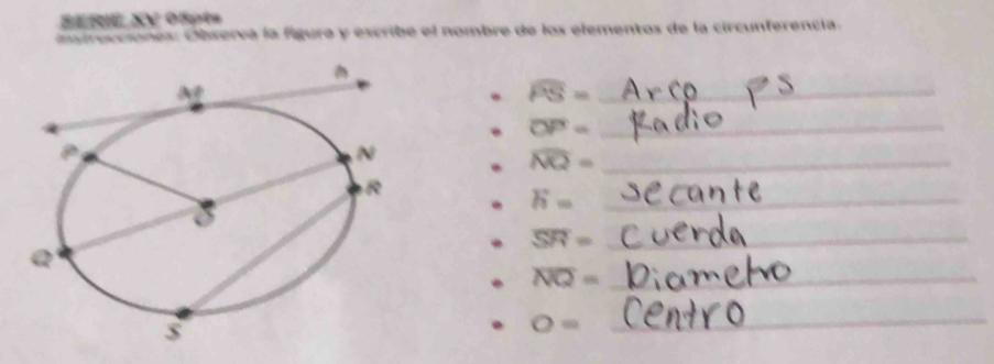 SERIE XV 05pts
instrucciones: Observá la figura y escribe el nombre de los elementos de la circunferencia.
overline PS= _
overline OP= _
widehat NQ= _
_ h=
_ overline SR=
overline NQ= _
_ O=