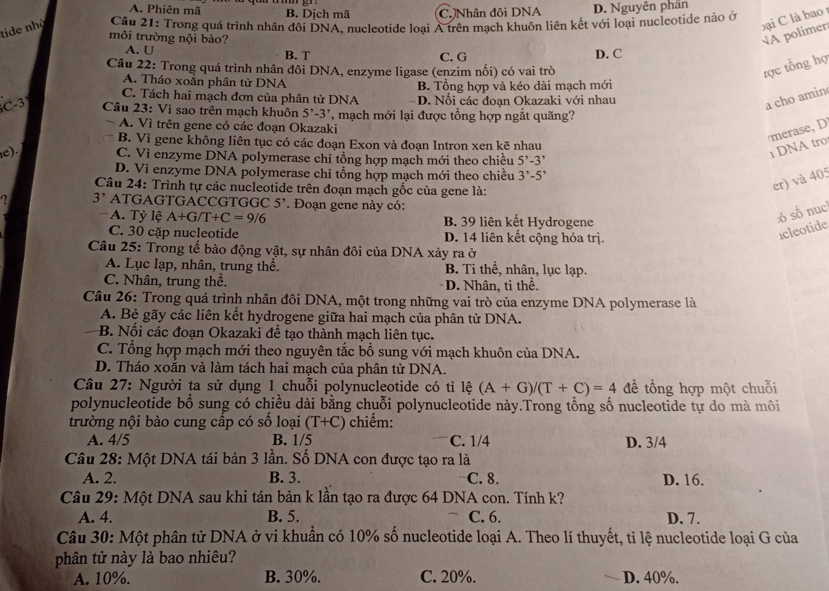 A. Phiên mã B. Dịch mã C.)Nhân đôi DNA D. Nguyên phân
tide nhà
bại C là bao 1
Câu 21: Trong quá trình nhân đôi DNA, nucleotide loại A trên mạch khuôn liên kết với loại nucleotide nào ở
môi trường nội bào?
NA polimer
A. U B. T C. G D. C
Câu 22: Trong quá trình nhân đôi DNA, enzyme ligase (enzim nối) có vai trò
tợc tổng hợ
A. Tháo xoắn phân tử DNA
B. Tổng hợp và kéo dài mạch mới
C. Tách hai mạch đơn của phân tử DNA
C-31 D. Nối các đoạn Okazaki với nhau
a cho amin
Câu 23: Vì sao trên mạch khuôn 5^,-3^, , mạch mới lại được tổng hợp ngắt quãng?
A. Vì trên gene có các đoạn Okazaki
/merase, D
B. Vì gene không liên tục có các đoạn Exon và đoạn Intron xen kẽ nhau
e).
C. Vì enzyme DNA polymerase chỉ tổng hợp mạch mới theo chiều 5^,-3^,
1  DNA tr
D. Vì enzyme DNA polymerase chỉ tổng hợp mạch mới theo chiều 3^,-5^,
Câu 24: Trình tự các nucleotide trên đoạn mạch gốc của gene là:
er) và 405
3^, ATGAGTGACCGTGGC 5^,. Đoạn gene này có:
A. Tỷ lệ A+G/T+C=9/6 B. 39 liên kết Hydrogene
:ó số nuc
C. 30 cặp nucleotide D. 14 liên kết cộng hóa trị.
icleotide
Câu 25: Trong tế bào động vật, sự nhân đôi của DNA xảy ra ở
A. Lục lạp, nhân, trung thể. B. Ti thể, nhân, lục lạp.
C. Nhân, trung thể. D. Nhân, ti thể.
Câu 26: Trong quá trình nhân đôi DNA, một trong những vai trò của enzyme DNA polymerase là
A. Bẻ gãy các liên kết hydrogene giữa hai mạch của phân tử DNA.
B. Nối các đoạn Okazaki để tạo thành mạch liên tục.
C. Tổng hợp mạch mới theo nguyên tắc bổ sung với mạch khuôn của DNA.
D. Tháo xoắn và làm tách hai mạch của phân tử DNA.
Câu 27: Người ta sử dụng 1 chuỗi polynucleotide có tỉ lệ (A+G)/(T+C)=4 để tổng hợp một chuỗi
polynucleotide bổ sung có chiều dài bằng chuỗi polynucleotide này.Trong tổng số nucleotide tự do mà môi
trường nội bào cung cấp có số loại (T+C) chiếm:
A. 4/5 B. 1/5 C. 1/4 D. 3/4
Câu 28: Một DNA tái bản 3 lần. Số DNA con được tạo ra là
A. 2. B. 3. C. 8. D. 16.
Câu 29: Một DNA sau khi tán bản k lần tạo ra được 64 DNA con. Tính k?
A. 4. B. 5. C. 6. D. 7.
Câu 30: Một phân tử DNA ở vi khuẩn có 10% số nucleotide loại A. Theo lí thuyết, tỉ lệ nucleotide loại G của
phân tử này là bao nhiêu?
A. 10%. B. 30%. C. 20%. D. 40%.