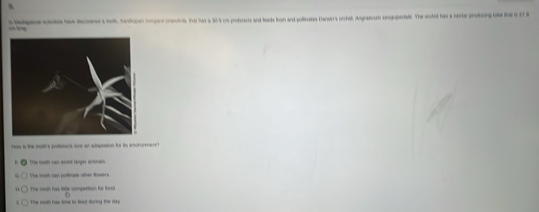 fagens cons have decovered a molh, Aandopan ncrganit prascicis, that has a 30.5 cm proboscis and feeds from and pollinates Danwin's orchid, Angraecum sesquipedale. The orchid has a nectar-producing tobe that ts 37.9
cn tng
How is the moth's probascis size an adaptation for its environment ?
The moth can avoid larger anmah.
The moth can pollinate other flowers.
The moth has lite competition for food
The moth has time to feed during the day