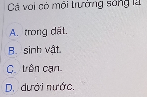 Cá voi có môi trường song là
A. trong đất.
B. sinh vật.
C. trên cạn.
D. dưới nước.