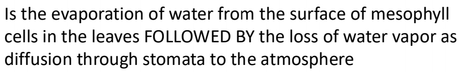 Is the evaporation of water from the surface of mesophyll 
cells in the leaves FOLLOWED BY the loss of water vapor as 
diffusion through stomata to the atmosphere