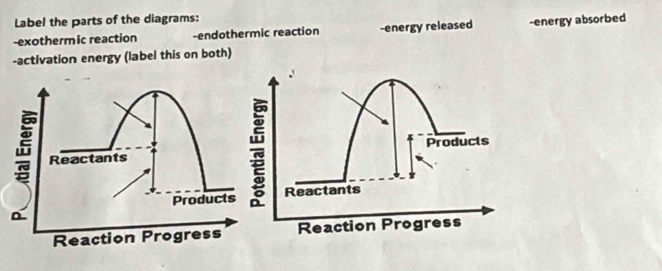Solved: Label the parts of the diagrams: -exothermic reaction ...