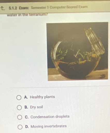 Exam: Semeater 1 Computer Scored Exam
water in the terrarium?
A. Healthy plants
B. Dry soil
C. Condensation droplets
D. Moving invertebrates