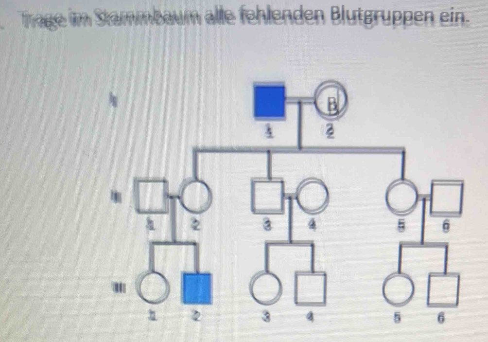 Trage im Stammbaum alle fehlenden Blutgruppen ein.