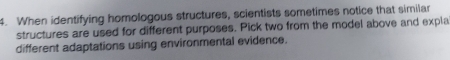 When identifying homologous structures, scientists sometimes notice that similar 
structures are used for different purposes. Pick two from the model above and expla 
different adaptations using environmental evidence.