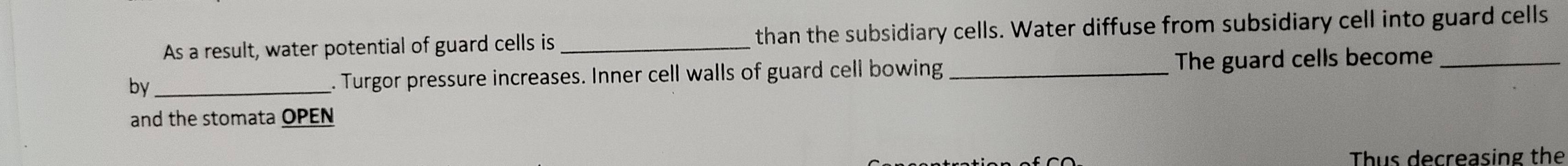 As a result, water potential of guard cells is_ than the subsidiary cells. Water diffuse from subsidiary cell into guard cells 
by _. Turgor pressure increases. Inner cell walls of guard cell bowing _The guard cells become_ 
and the stomata OPEN 
Thus decreasing the