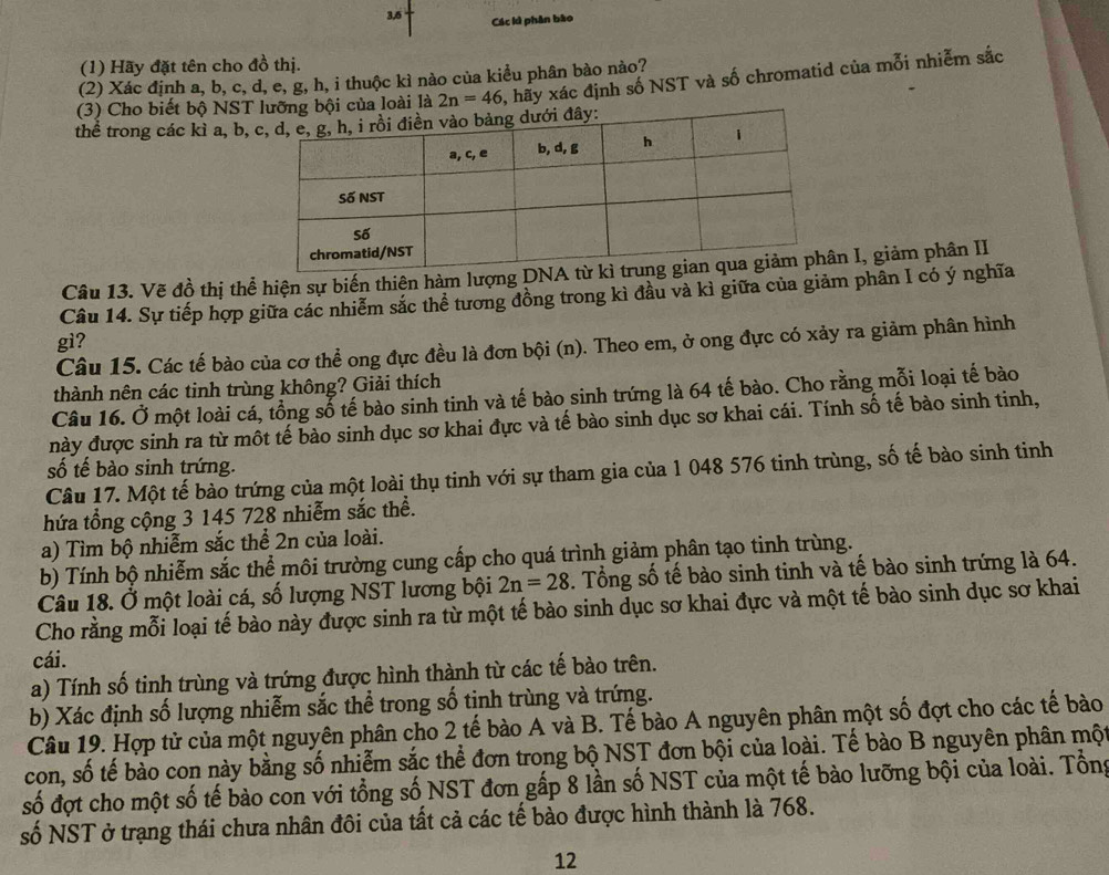 3,5 Các lì phân bào
(1) Hãy đặt tên cho đồ thị.
(2) Xác định a, b, c, d, e, g, h, i thuộc kì nào của kiều phân bào nào?
(3) Cho biết bộ NSTủa loài là 2n=46 , hãy xác định số NST và số chromatid của mỗi nhiễm sắc
thể trong các kì a, b, 
Câu 13. Vẽ đồ thị thể hiện sự biến thiên hàm lượngn I, giảm phân II
Câu 14. Sự tiếp hợp giữa các nhiễm sắc thể tương đồng trong kì đầu và kì giữa của giảm phân I có ý nghĩa
gì?
Câu 15. Các tế bào của cơ thể ong đực đều là đơn bội (n). Theo em, ở ong đực có xảy ra giảm phân hình
thành nên các tinh trùng không? Giải thích
Câu 16. Ở một loài cá, tổng số tế bào sinh tinh và tế bào sinh trứng là 64 tế bào. Cho rằng mỗi loại tế bào
này được sinh ra từ một tế bào sinh dục sơ khai đực và tế bào sinh dục sơ khai cái. Tính số tế bào sinh tinh,
số tế bào sinh trứng.
Câu 17. Một tế bào trứng của một loài thụ tinh với sự tham gia của 1 048 576 tinh trùng, số tế bào sinh tinh
hứa tổng cộng 3 145 728 nhiễm sắc thể.
a) Tìm bộ nhiễm sắc thể 2n của loài.
b) Tính bộ nhiễm sắc thể môi trường cung cấp cho quá trình giảm phân tạo tinh trùng.
Câu 18. Ở một loài cá, số lượng NST lương bội 2n=28. Tổng số tế bào sinh tinh và tế bào sinh trứng là 64.
Cho rằng mỗi loại tế bào này được sinh ra từ một tế bào sinh dục sơ khai đực và một tế bào sinh dục sơ khai
cái.
a) Tính số tinh trùng và trứng được hình thành từ các tế bào trên.
b) Xác định số lượng nhiễm sắc thể trong số tinh trùng và trứng.
Câu 19. Hợp tử của một nguyên phân cho 2 tế bào A và B. Tế bào A nguyên phân một số đợt cho các tế bào
con, số tế bào con này bằng số nhiễm sắc thể đơn trong bộ NST đơn bội của loài. Tế bào B nguyên phân một
số đợt cho một số tế bào con với tổng số NST đơn gấp 8 lần số NST của một tế bào lưỡng bội của loài. Tổng
số NST ở trạng thái chưa nhân đôi của tất cả các tế bào được hình thành là 768.
12